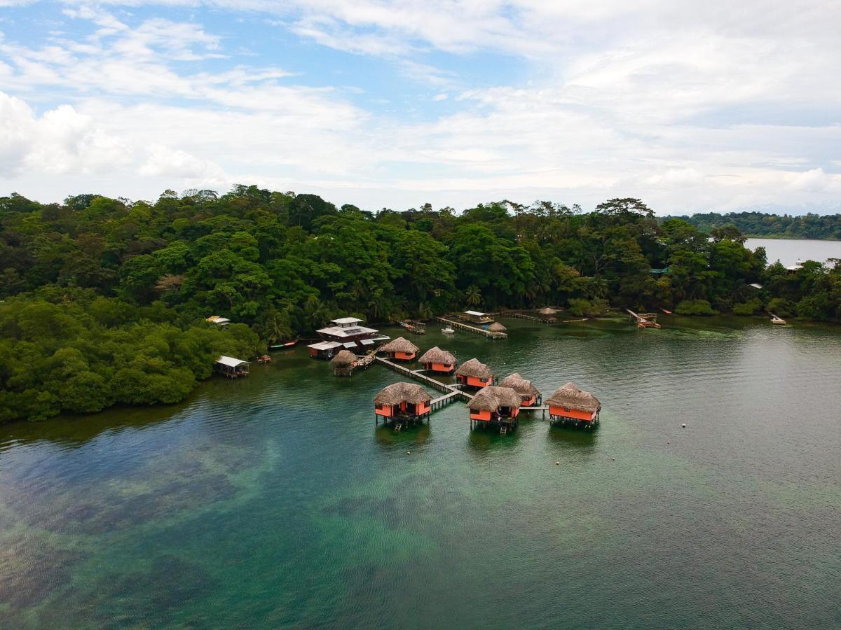 Eclypse de Mar Acqua Lodge Bastimentos Exterior foto